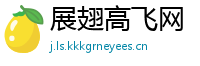 展翅高飞网